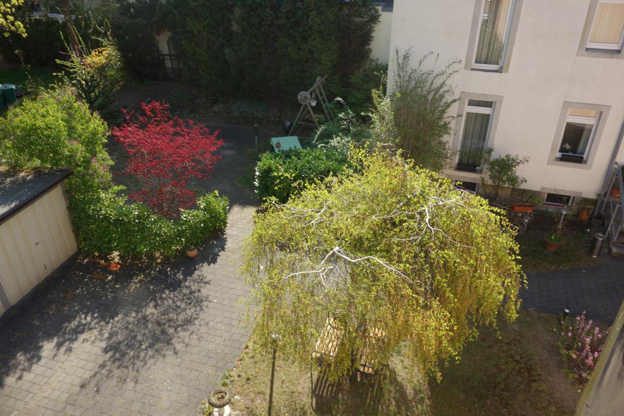Apartments Und Zimmer Gaestehaus Matthias Drezno Pokój zdjęcie