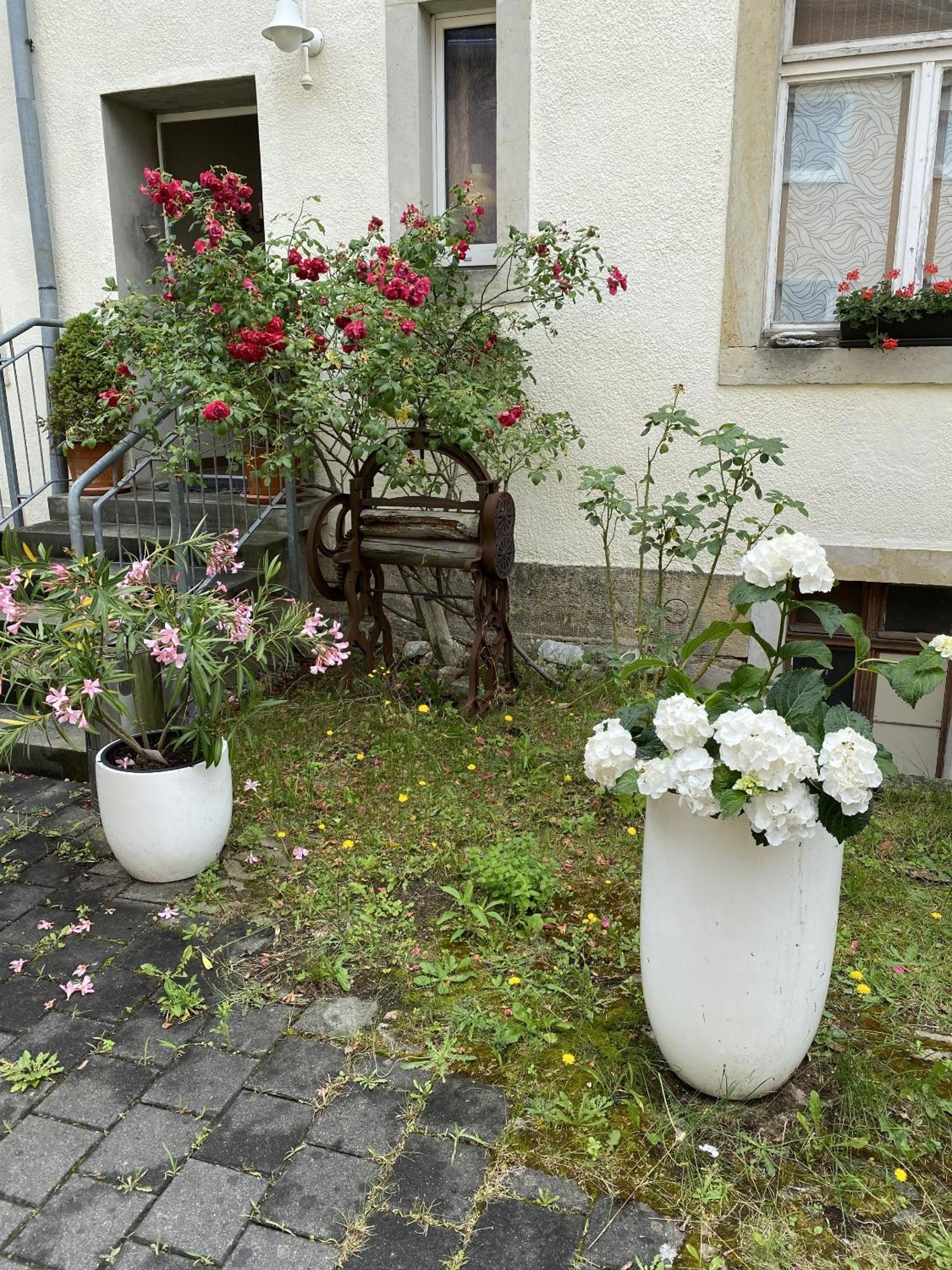 Apartments Und Zimmer Gaestehaus Matthias Drezno Zewnętrze zdjęcie