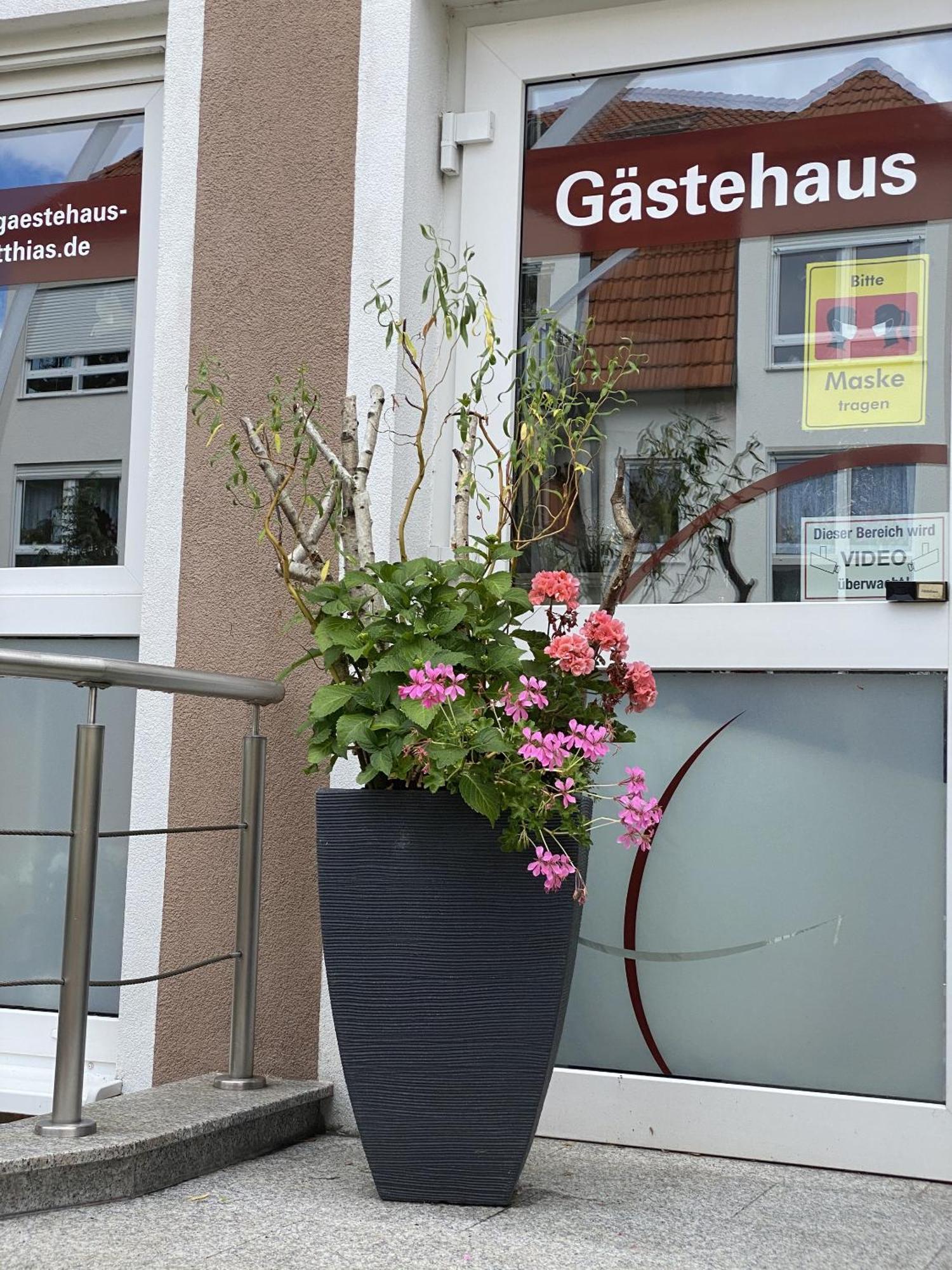 Apartments Und Zimmer Gaestehaus Matthias Drezno Zewnętrze zdjęcie